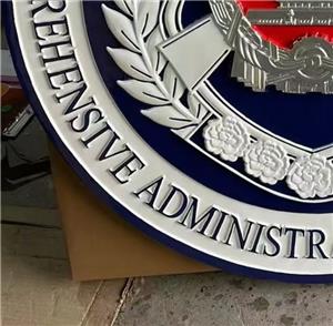 综合行政执法徽定做